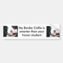 Pesquisar por border collie adesivos carros Honra