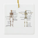 Pesquisar por anatomia ornamentos Médico