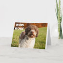 Pesquisar por ter um bebê cartoes Fotografia