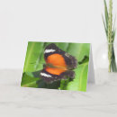 Pesquisar por asas borboletas cartoes Laranja