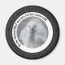 Pesquisar por cigano imas Cisne