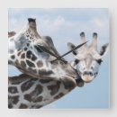 Pesquisar por dois animais relogios de parede Consumerproduct