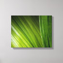 Pesquisar por folhas verdes impressão de canvas Folhagem