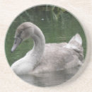 Pesquisar por cisne porta copos Fofo