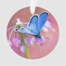 Pesquisar por jardim da borboleta ornamentos Pássaros e flores