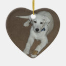 Pesquisar por cão pastor alemão de natal decoração Filhote de cachorro