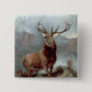 Pesquisar por em com nos antlers botons Cervos
