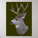 Pesquisar por deer pósteres pôsteres Qualquer pessoa