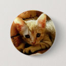 Pesquisar por triste botons Gatinho