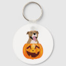 Pesquisar por pitbull chaveiros Halloween
