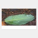 Pesquisar por leaf adesivos Fotografia