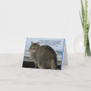 Pesquisar por ponte do arco For pets