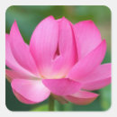 Pesquisar por plantas aquáticas adesivos Flora