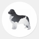 Pesquisar por pedigree adesivos Bonito