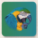 Pesquisar por macaw porta copos Papagaio
