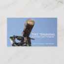 Pesquisar por ajustador da árvore cartao de visita Árvores