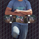 Pesquisar por dragão skates Castelo
