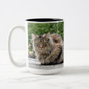 Pesquisar por maine coon canecas Gato