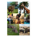 Pesquisar por hiena pôsteres Africano