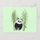 Pesquisar por panda branca preta cartoes postais Bambu