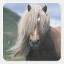 Pesquisar por homem cavalo adesivos Pônei