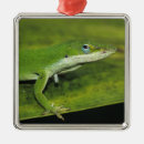 Pesquisar por quintal ornamentos Floresta