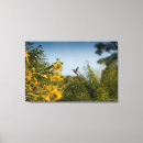 Pesquisar por colibri impressão de canvas Animais selvagens