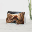 Pesquisar por de yorkshire horizontal cartoes Fofo