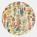 Pesquisar por ilustração botânica vintage adesivos For her