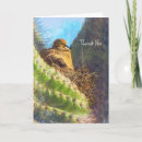 Pesquisar por pássaro do deserto cartoes Qualquer pessoa