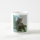 Pesquisar por lolcat canecas Bonito