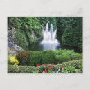 Pesquisar por colombia cartoes cartoes postais Flor