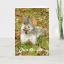 Pesquisar por wild life cartoes postais Encouragement