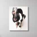 Pesquisar por boston terrier impressão de canvas Animal