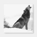 Pesquisar por lobo de madeira imas Natureza