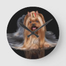 Pesquisar por yorkshire relogios de parede Cão de brinquedo