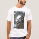 Pesquisar por lotor camisetas Guaxinim