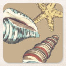 Pesquisar por estrela amarela porta copos Concha