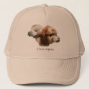 Pesquisar por alpaca bones Animais