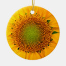 Pesquisar por sementes ornamentos Flor
