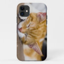 Pesquisar por cute baby iphone capas Pet