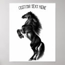 Pesquisar por cavalo preto e branco pôsteres Selvagem