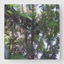 Pesquisar por obra arte relogios de parede Qualquer pessoa