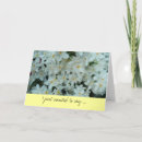 Pesquisar por lâmpadas cartoes Obrigados