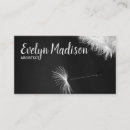 Pesquisar por dandelion cartao de visita Vento