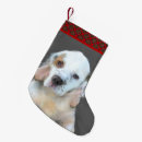 Pesquisar por espanhol meias de natal Cão