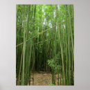Pesquisar por bambu verde pôsteres Floresta