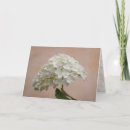 Pesquisar por mensagem religiosa cartoes Escritura