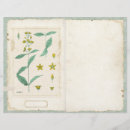 Pesquisar por margaridas artesanato material Botânica