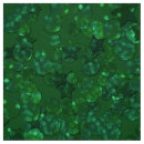 Pesquisar por verde claro artesanato material Brilhante